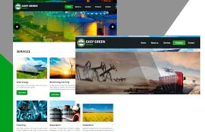 Easy Green Energy web design