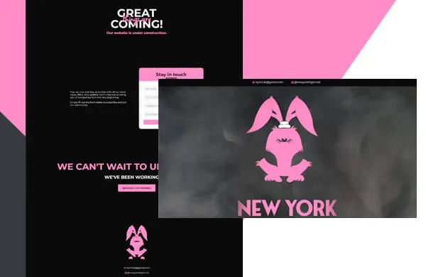 Discovering New York web design