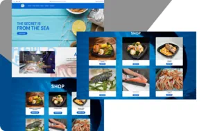 The Blue Dolphin web design