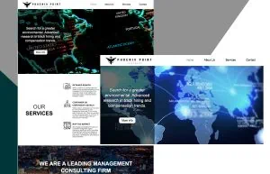 Phoenix Point Partners web design